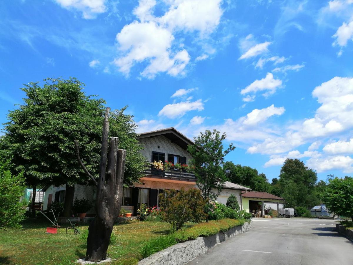 Deno Apartment Podgrad  ภายนอก รูปภาพ